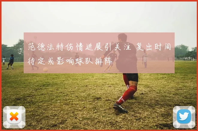 范德法特伤情进展引关注 复出时间待定或影响球队排阵