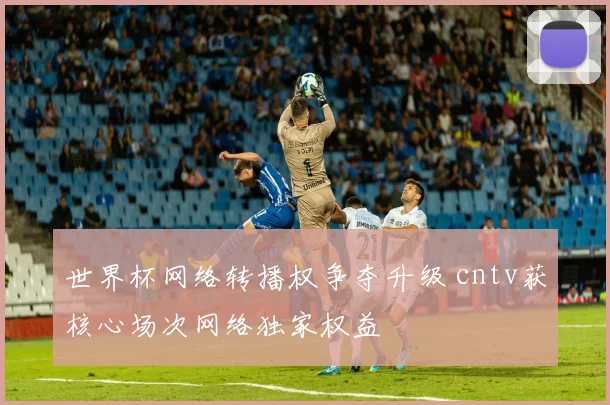 世界杯网络转播权争夺升级 cntv获核心场次网络独家权益