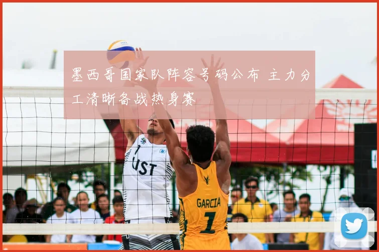 墨西哥国家队阵容号码公布 主力分工清晰备战热身赛