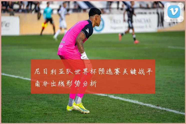 尼日利亚队世界杯预选赛关键战平南非出线形势分析