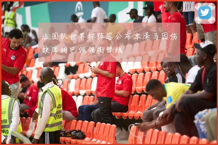 法国队世界杯阵容公布本泽马因伤缺席姆巴佩领衔锋线