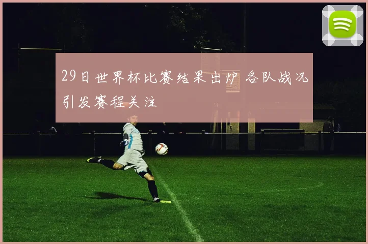29日世界杯比赛结果出炉 各队战况引发赛程关注