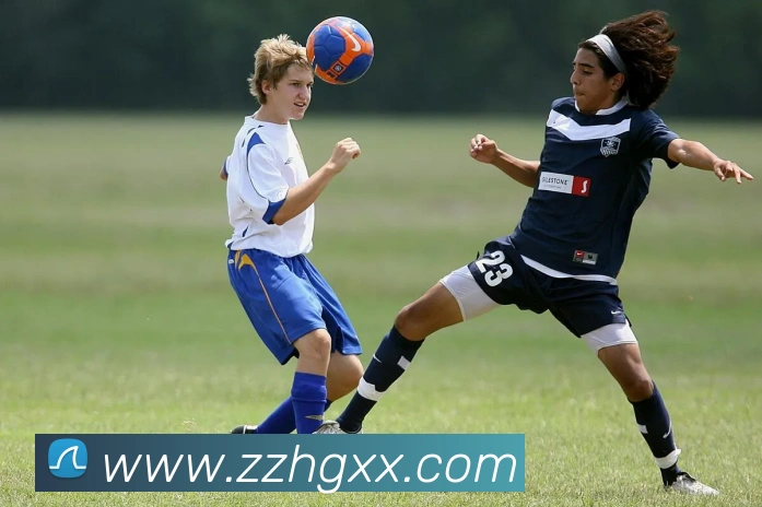 开云手机在线官网登录APP 封面图